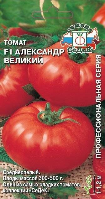 Томат боец
