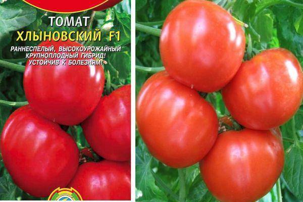 Томат кемеровец: описание сорта, отзывы, фото, характеристика | tomatland.ru