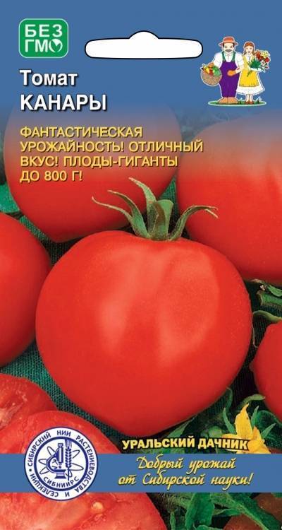Томат царская ветка: отзывы, фото, урожайность, описание и характеристика | tomatland.ru