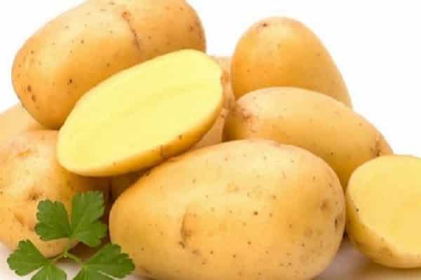 Описание урожайного картофель "таисия", подробная характеристика, фото