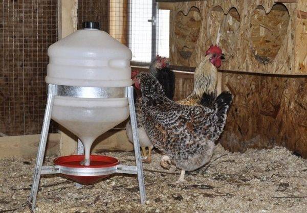 Энрофлон 10: инструкция по применению и дозировка для птиц и цыплят