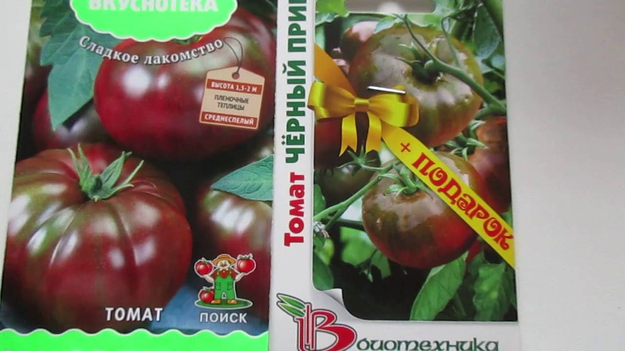 Выращиваем «зефир в шоколаде» — томат с уникальными характеристиками: описание сорта и фото