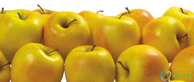 Яблоки голден делишес – посадка и необходимый уход