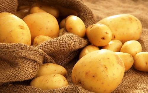 Как подготовить картофель к посадке весной: когда доставать, чем обработать