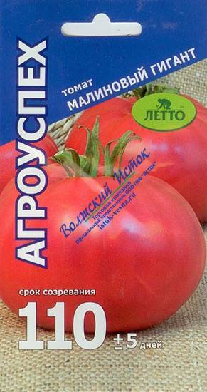 Крупноплодные сорта томатов – 10 гигантов