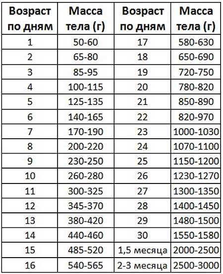 Таблица прироста бройлеров кобб 500 по дням