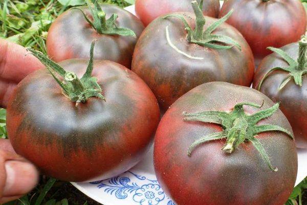 Сорта черных томатов