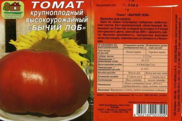 Бычий лоб: описание сорта томата, характеристики, агротехника