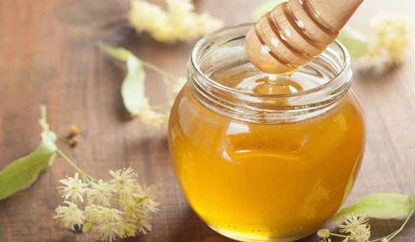 Липовый мед: полезные свойства. лечение заболеваний липовым медом