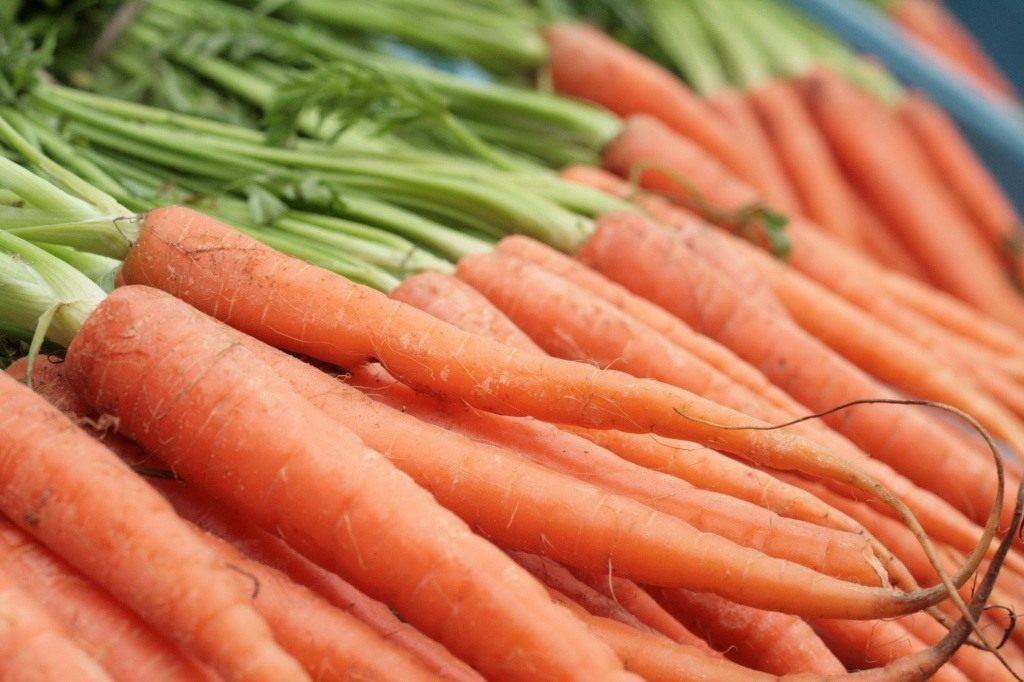 12 лучших способов: как посеять морковь, чтобы потом не прореживать?