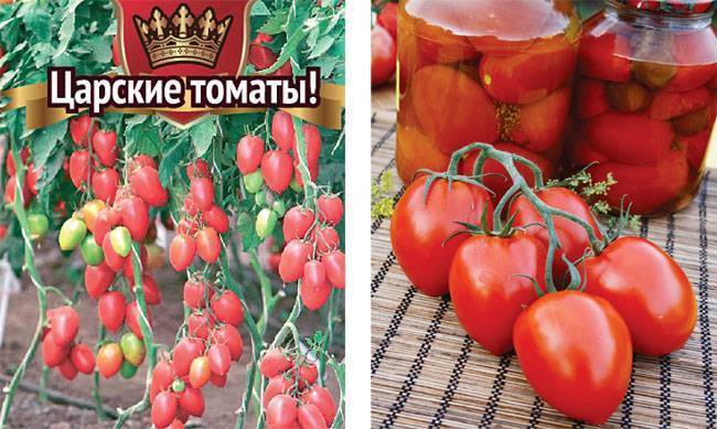 Каталог томатов