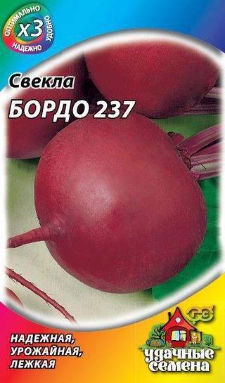 Как выбрать лучший сорт свёклы с большой урожайностью и минимум хлопот на грядках?
