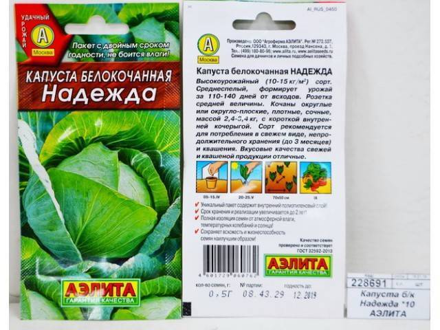 Неприхотливый холодоустойчивый сорт капусты «слава»